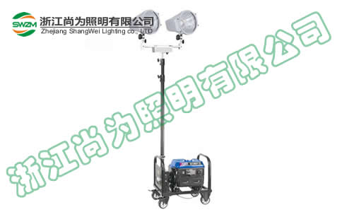 SW2920p