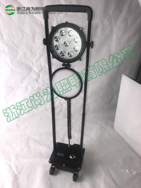 SW2601⹤